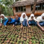 from-diamonds-to-dirt:-sierra-leone-youth-bring-land-back-to-life